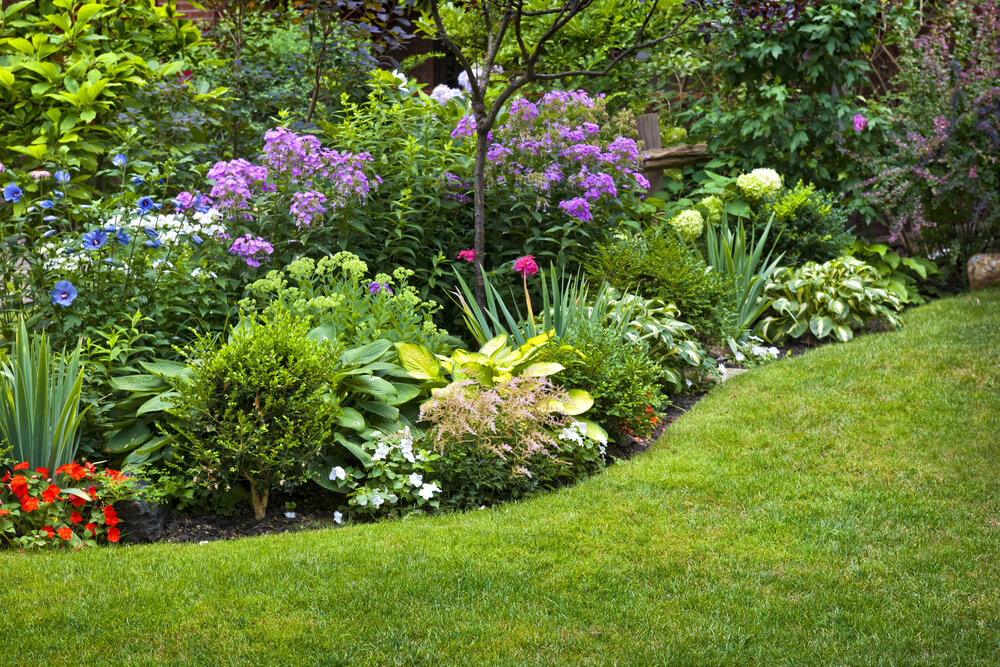 Création d'un jardin à Meaux